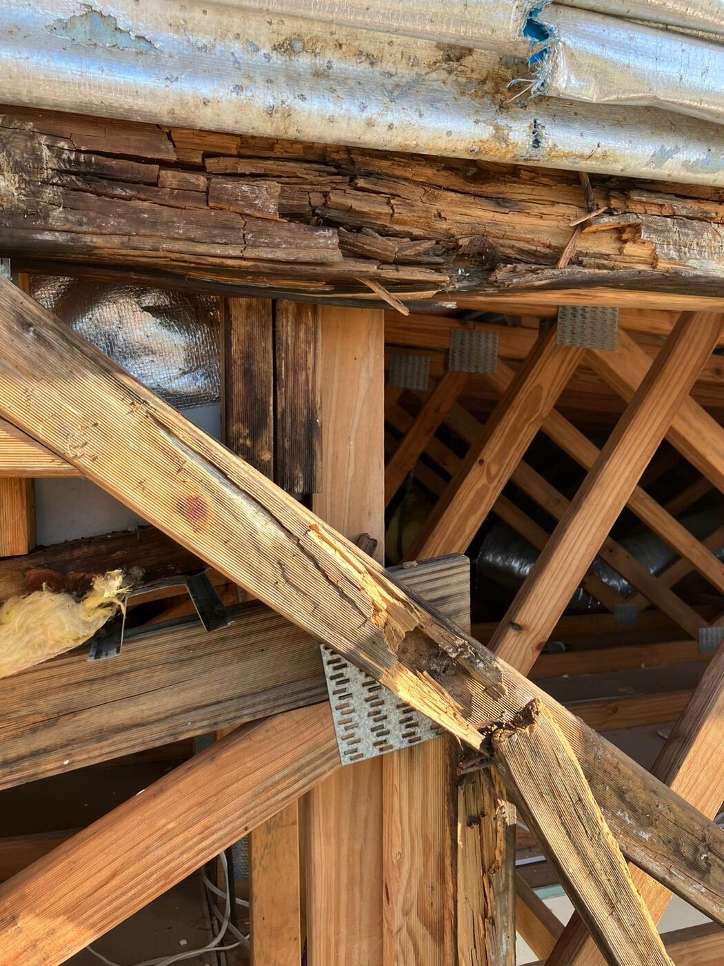 Structural timber and wood rot repair